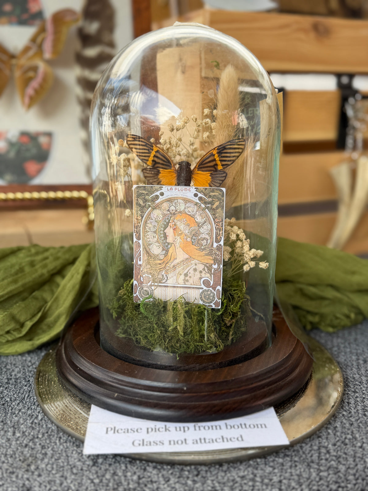 Tarot Cicada