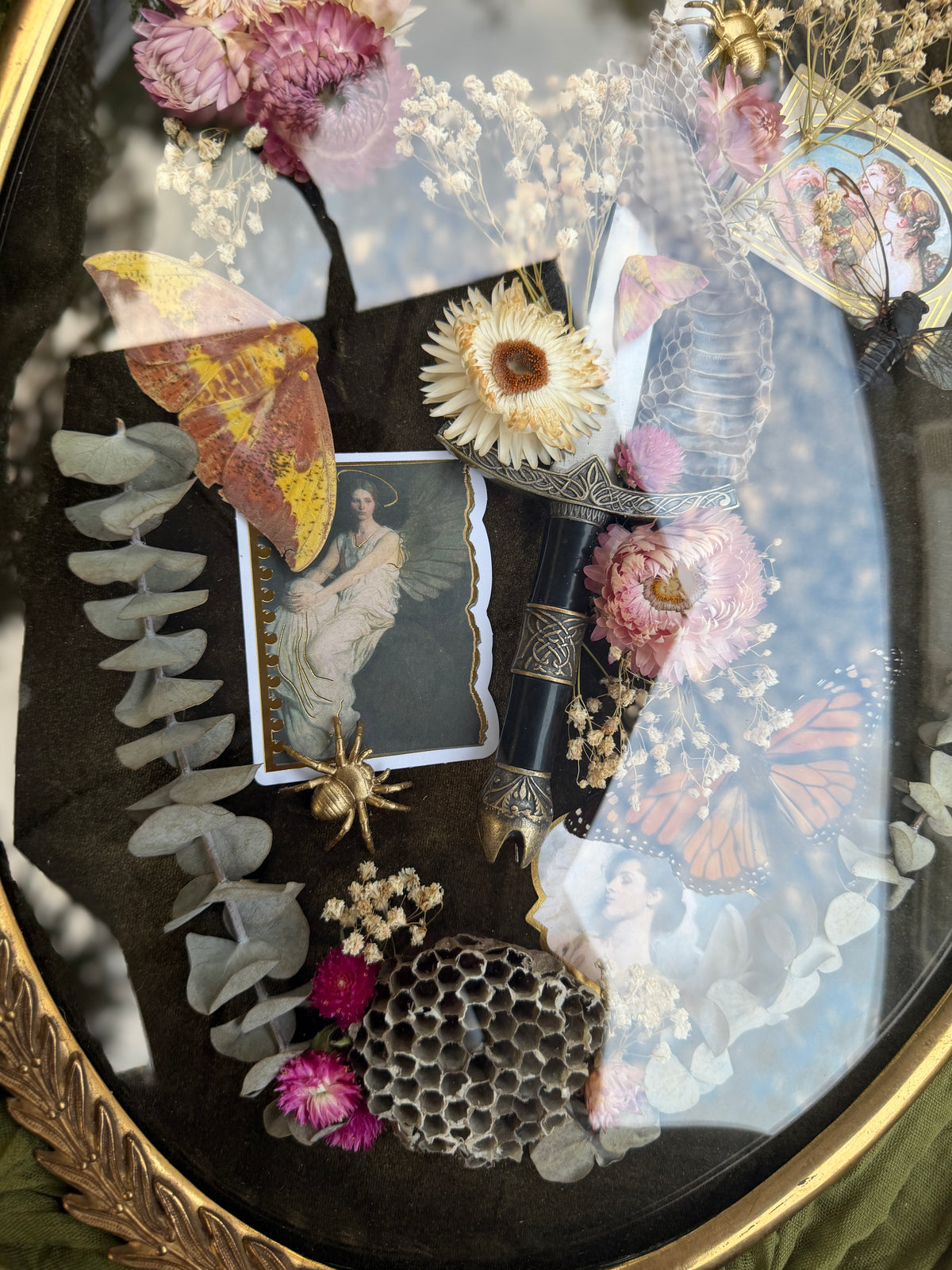 Antique convex glass framed insects