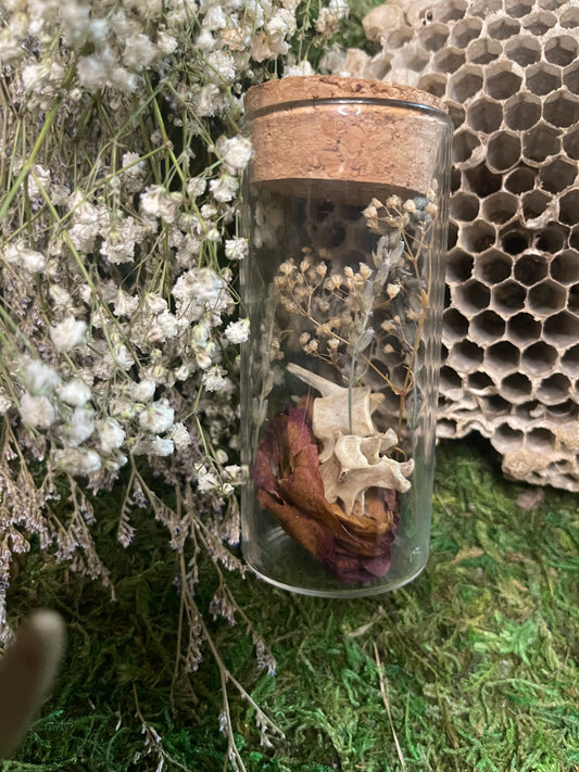 Medium Keepsake Mourning Jar - bone