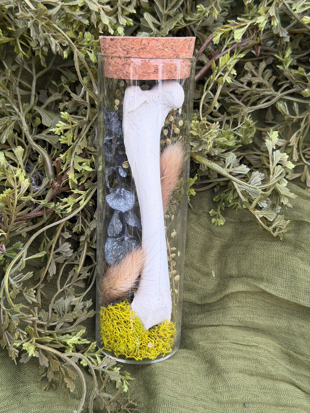 Unidentified species - femur or humerus