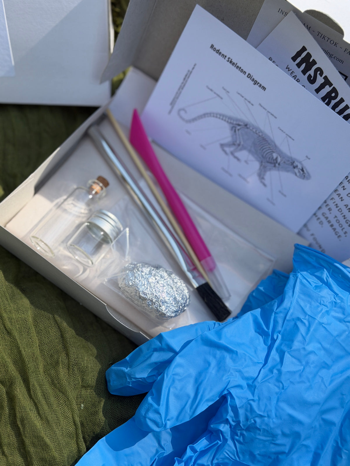 Owl Pellet Dissecting Kit