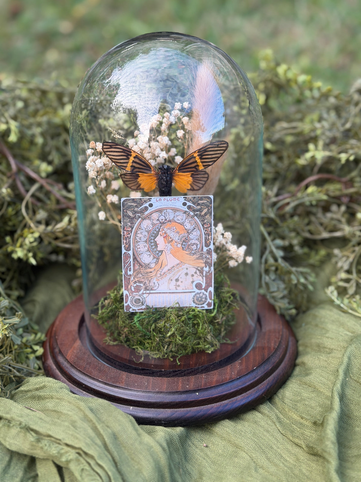 Tarot Cicada