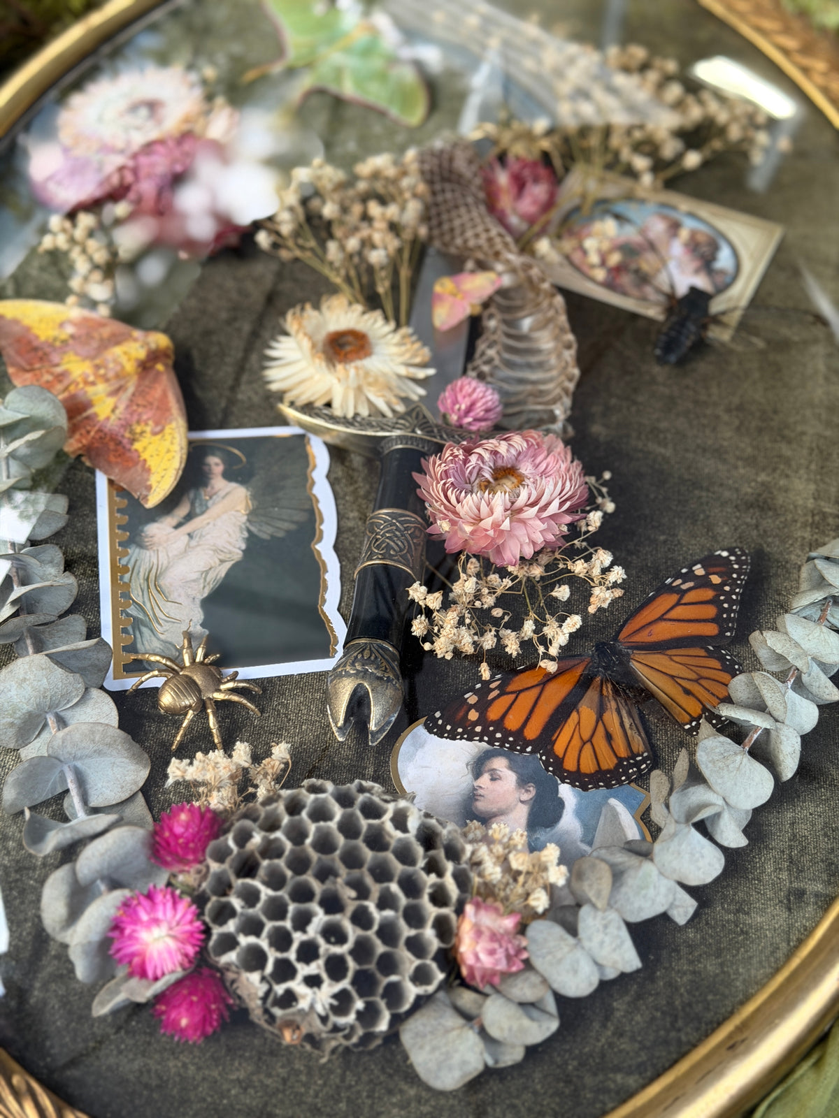Antique convex glass framed insects