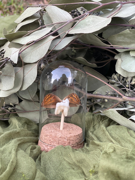 Deer tooth fairy