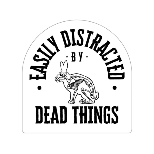 Easily distracted by dead things