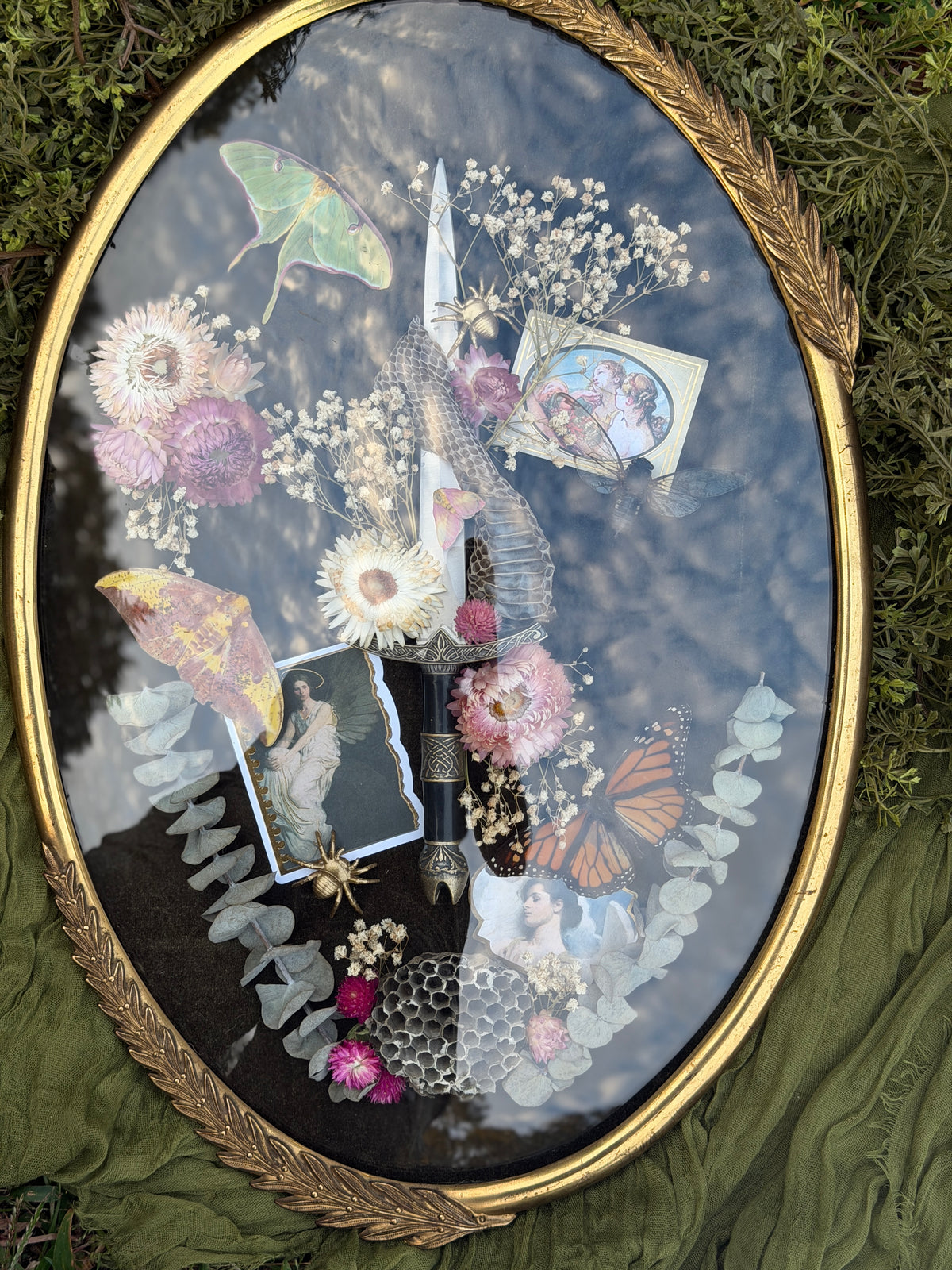 Antique convex glass framed insects