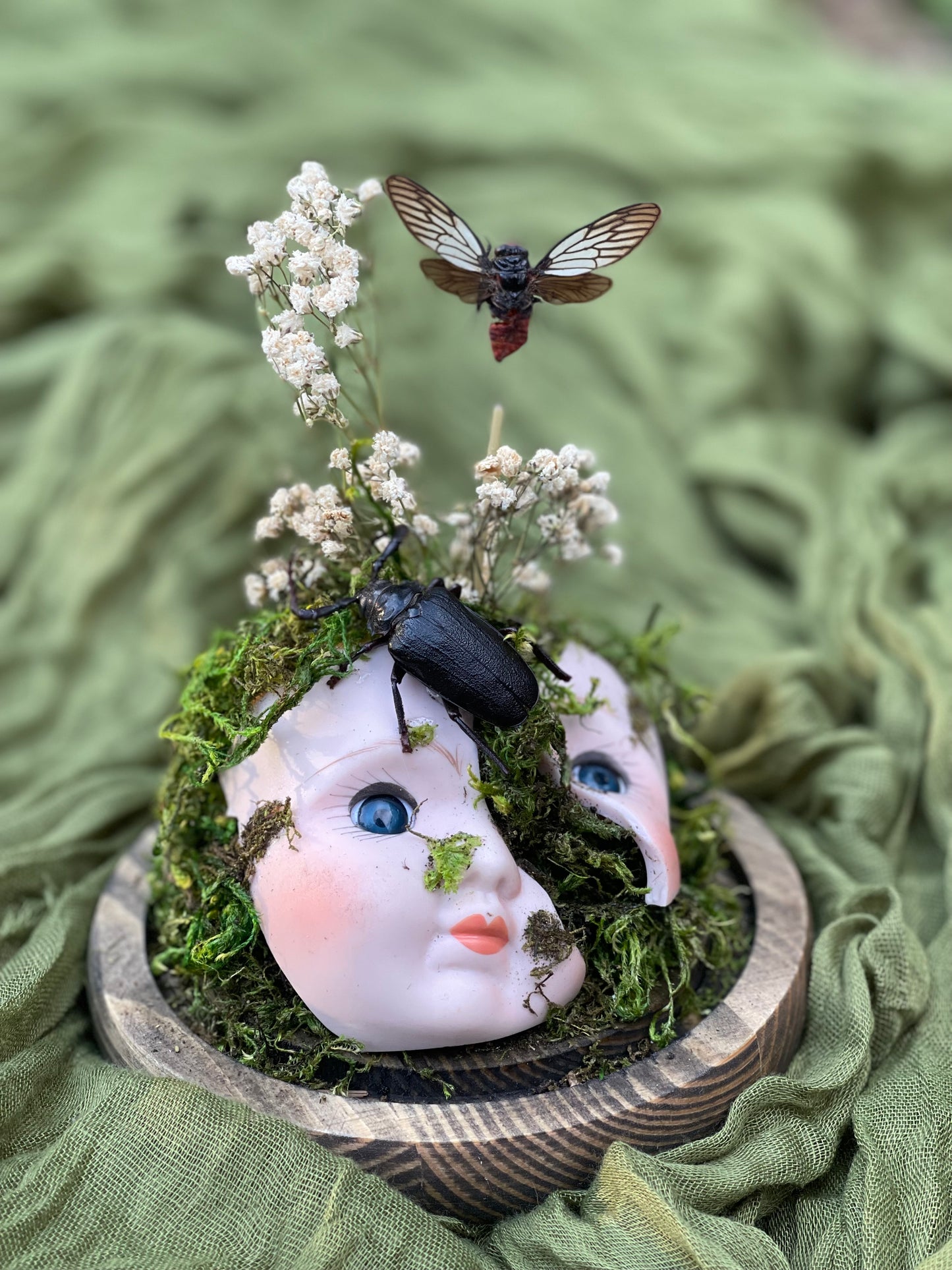 Porcelain doll