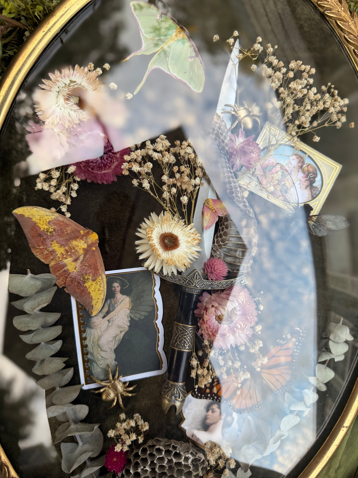 Antique convex glass framed insects