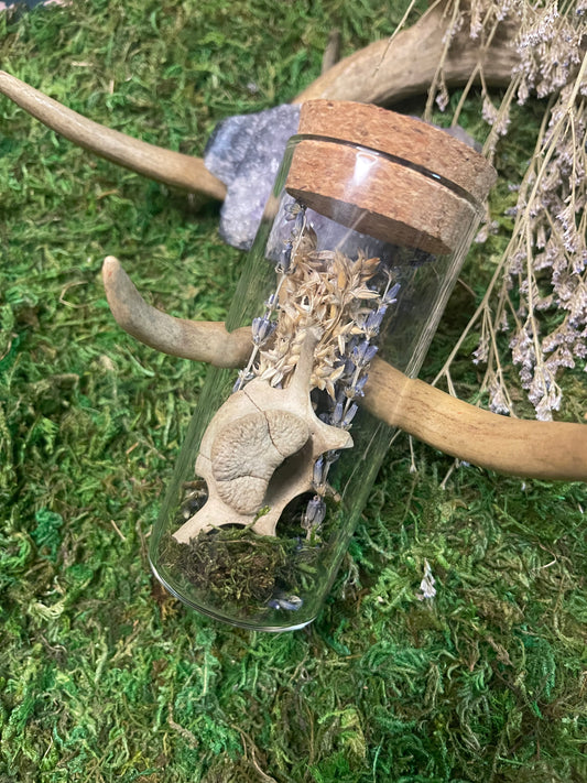 Medium Keepsake Mourning Jar - bone