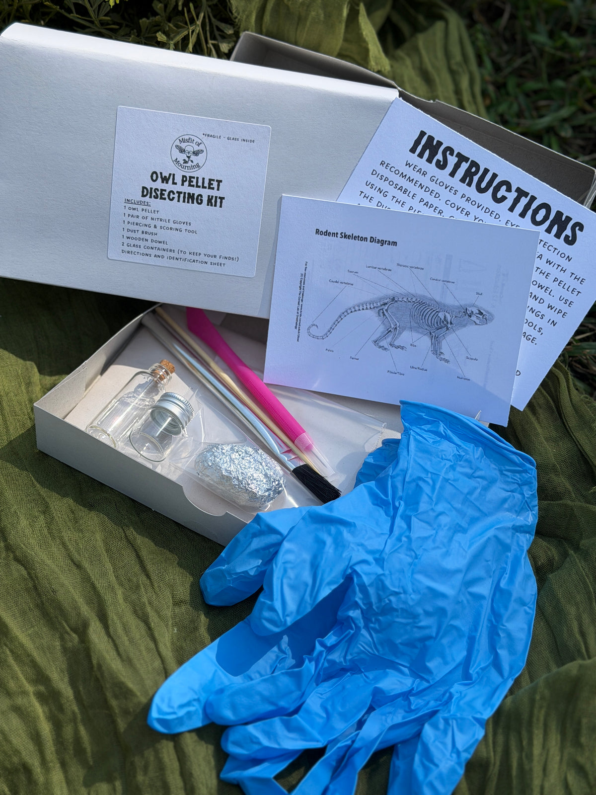 Owl Pellet Dissecting Kit