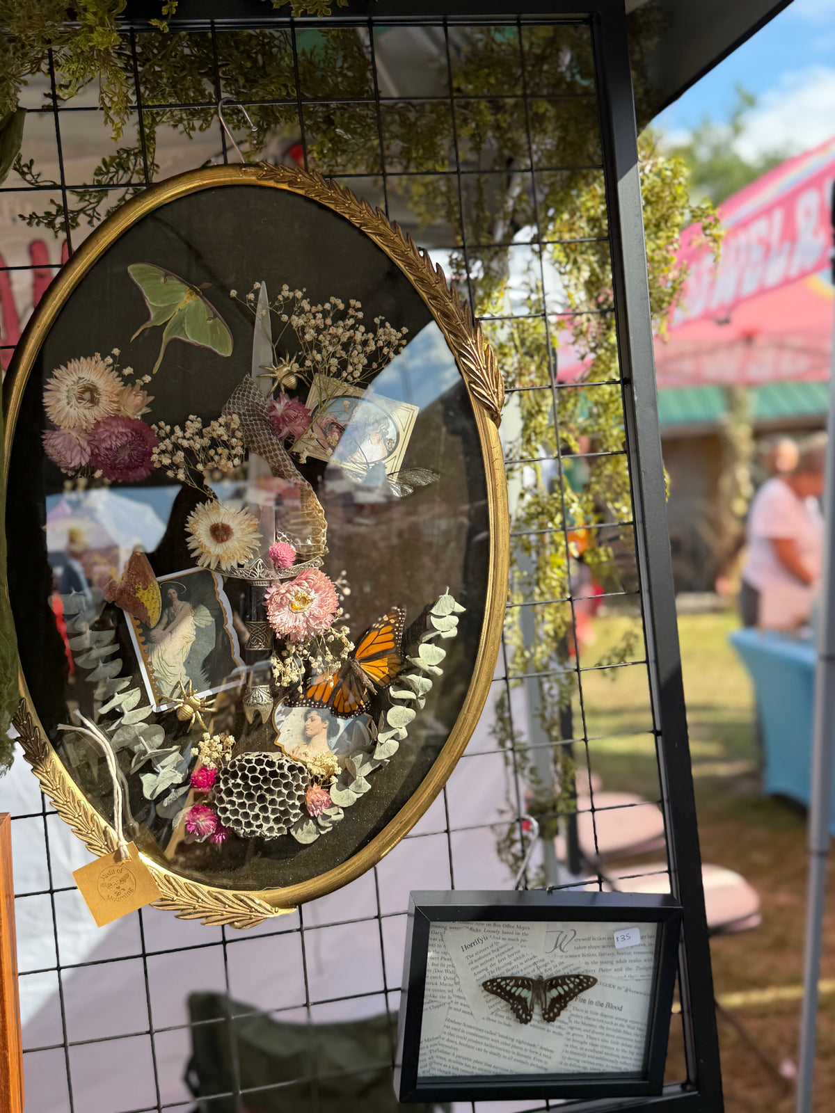 Antique convex glass framed insects