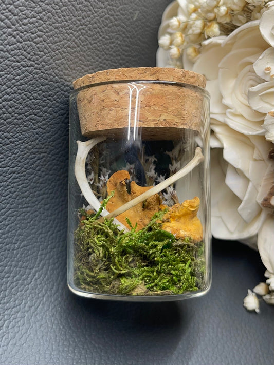 Small Keepsake Mourning Jar - bone