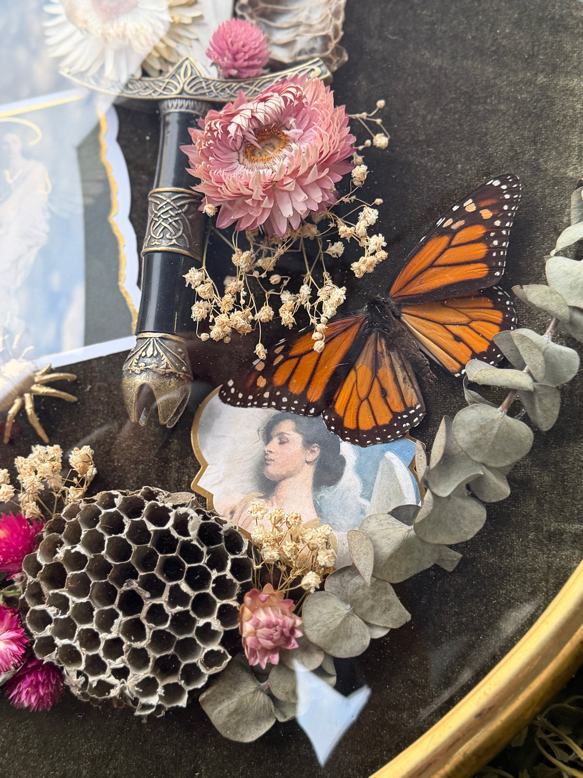 Antique convex glass framed insects