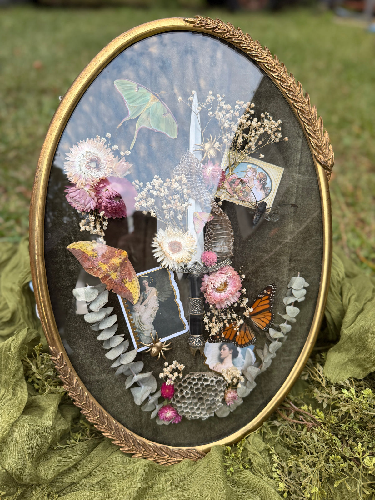 Antique convex glass framed insects