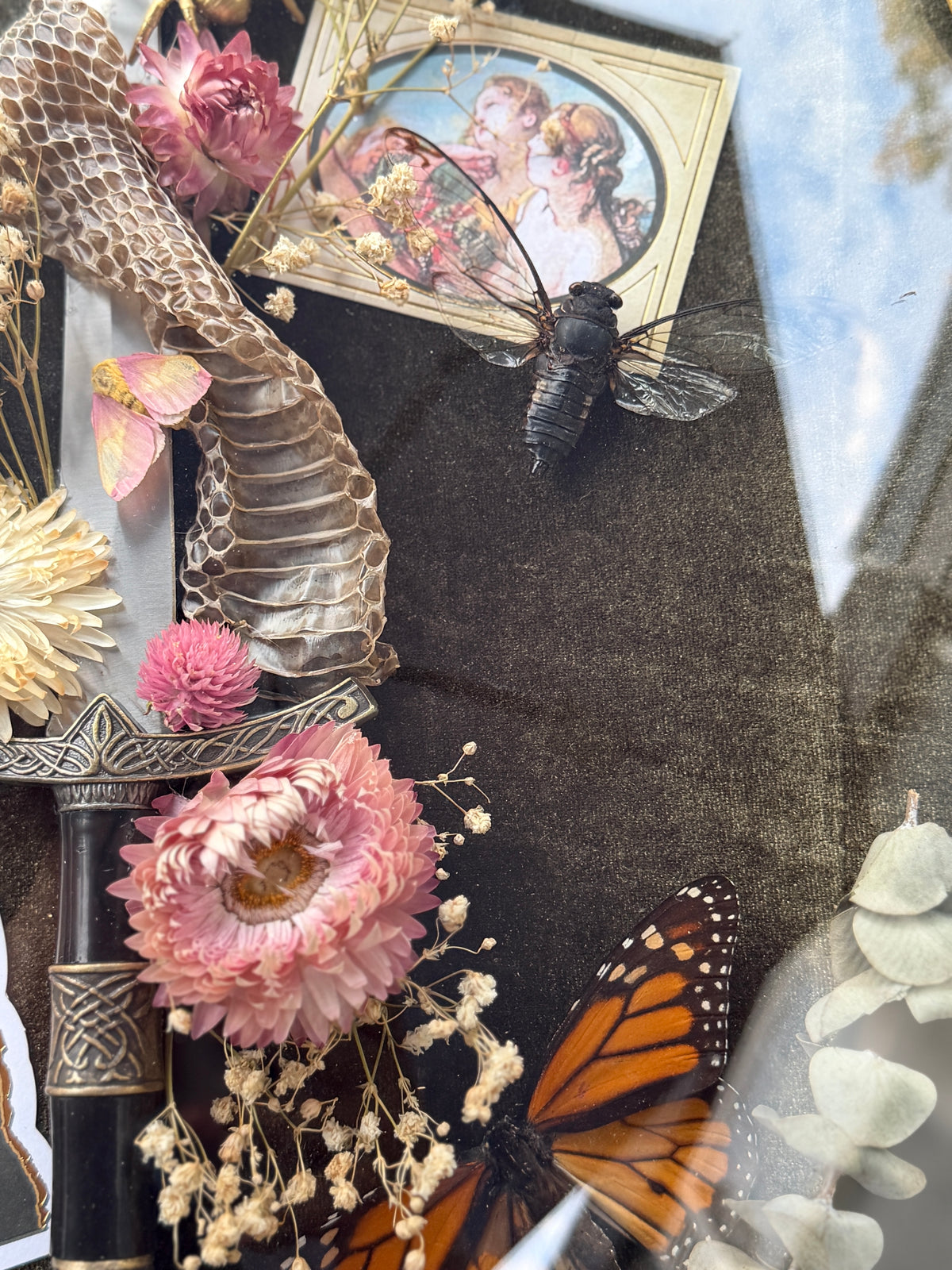 Antique convex glass framed insects