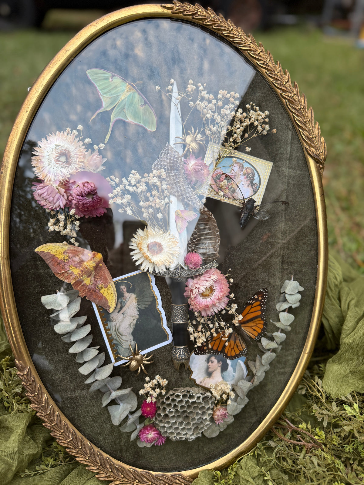 Antique convex glass framed insects