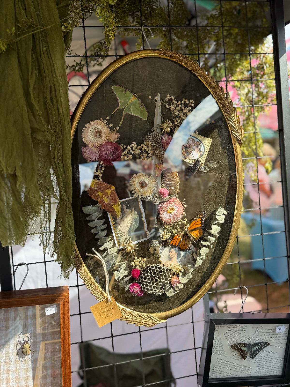 Antique convex glass framed insects