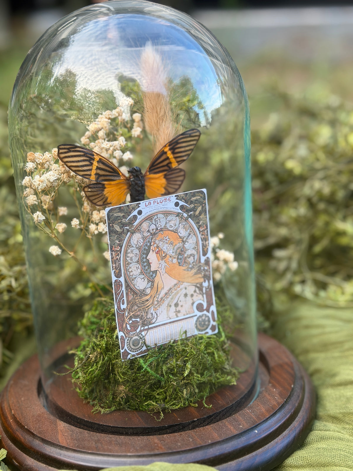 Tarot Cicada
