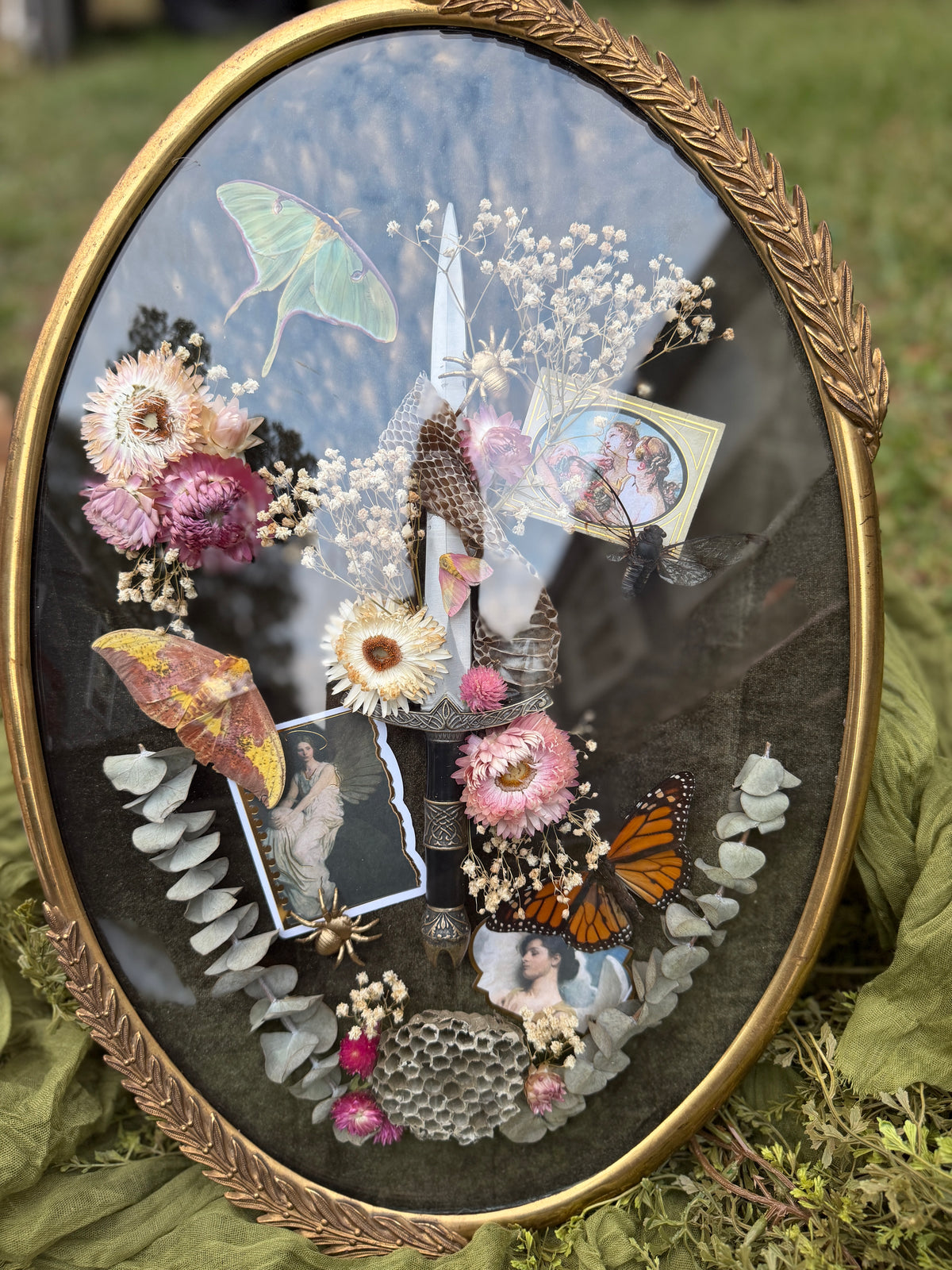 Antique convex glass framed insects