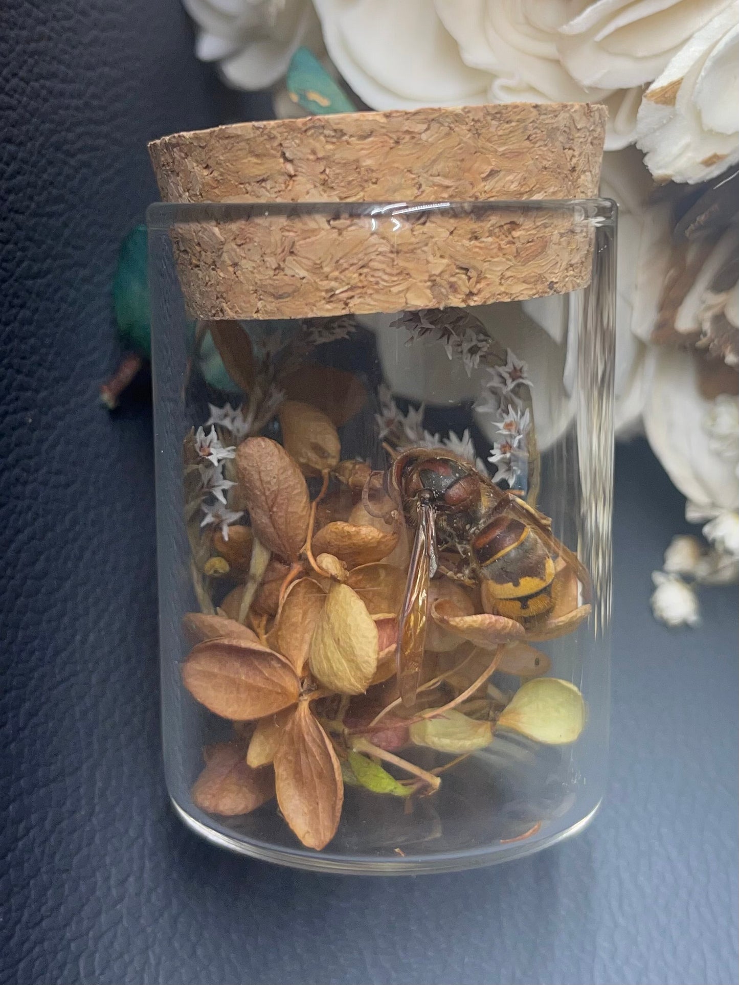 Small Keepsake Mourning Jar - insect