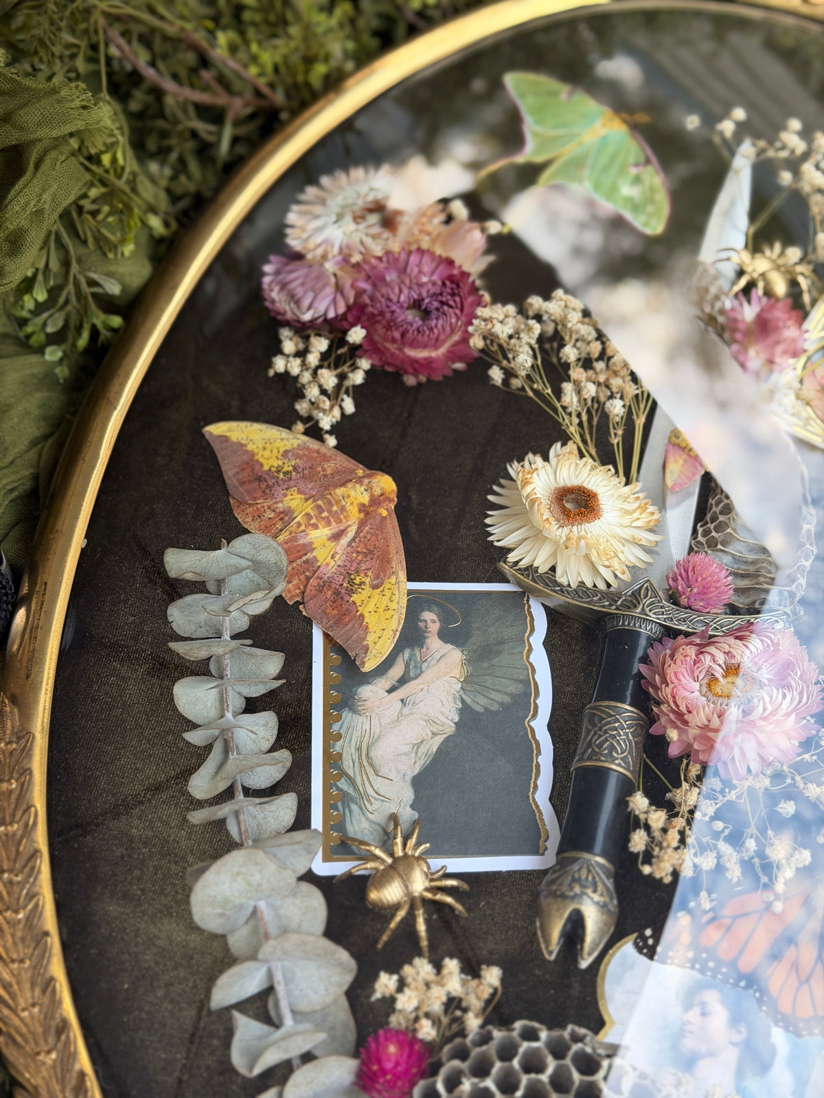 Antique convex glass framed insects