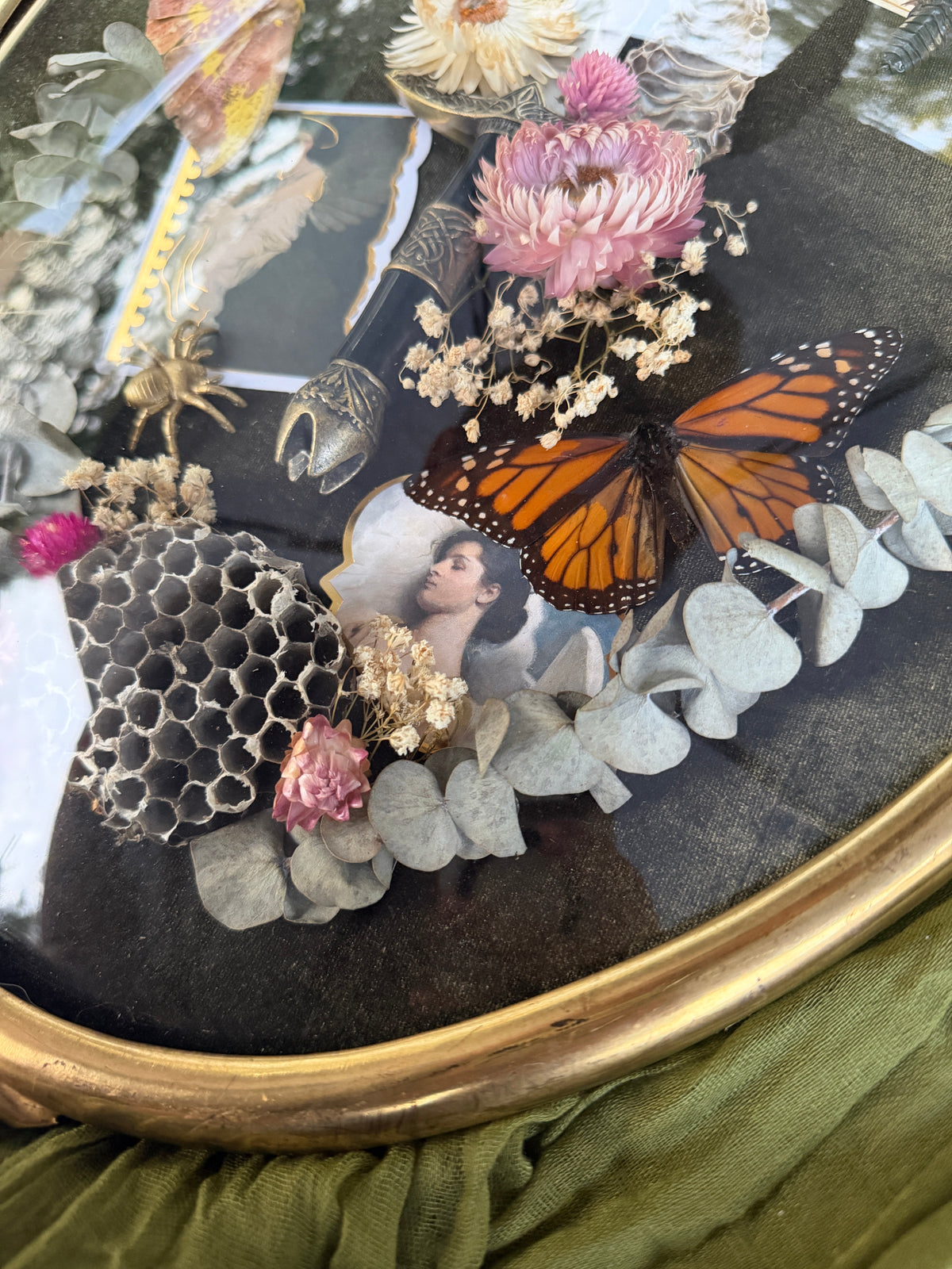Antique convex glass framed insects